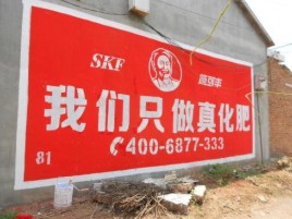  丹凤刷墙广告”蕴含了时代命题
