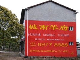  丹凤百分之90的人都不了解的农村墙体广告
