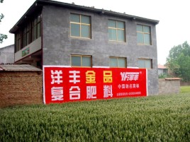  丹凤如何让墙体广告展现最大化效果