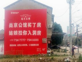  丹凤墙体广告在乡镇、农村市场的媒体优势