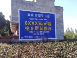 丹凤品牌公司青睐的墙体广告