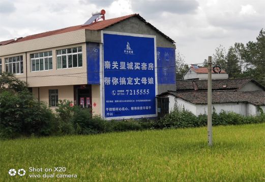 丹凤决定墙体广告价格的因素有哪些?