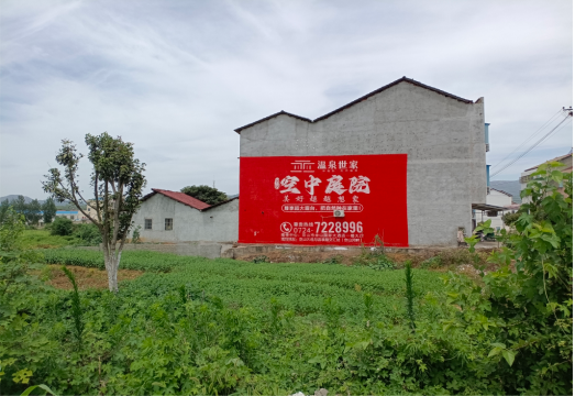  丹凤做墙体广告的意义