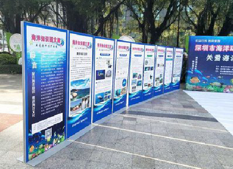  丹凤KT板的种类和知识。